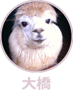 大橋のプロフィールアイコン